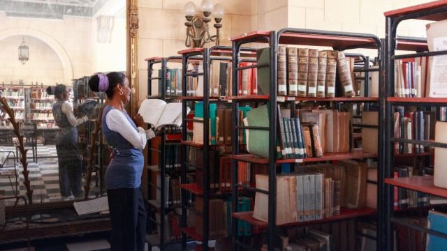 Funded Research Fellowship in Germany 2027 for Researchers at the University of Freiburg