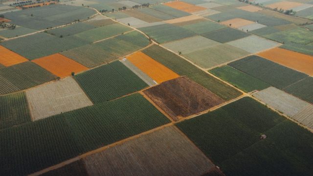 Program in Algeria Supporting Agricultural Ideas with Funding of up to €3,750