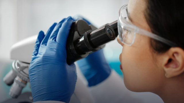 Hector Fellow Academy Doctoral Positions