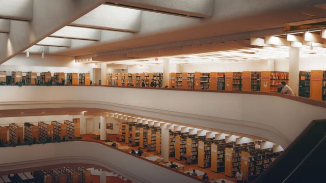 Durham Early Career Fellowships