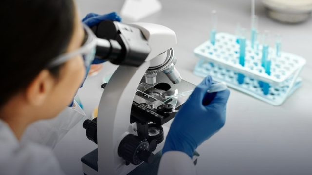 Lisbon Scholarship for Biomedical and Veterinary Studies