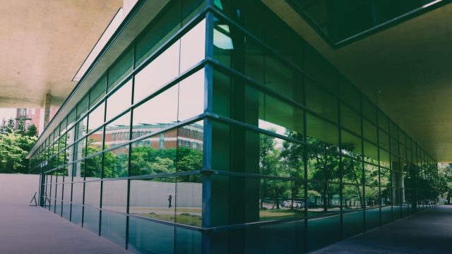 Anhalt University Scholarship