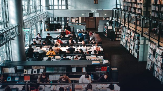 Alexander von Humboldt Foundation: Humboldt Research Fellowship for Experienced Researchers