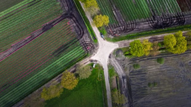 Agriviva Soggiorni in fattorie di tutta la Svizzera
