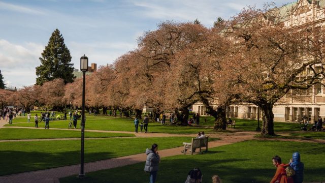 M.A.N.G.A.: Michigan's Accelerated NihonGo for Americans
