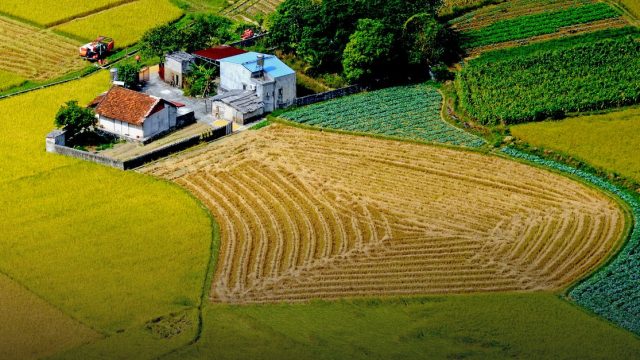 Grow Dat Youth Farm Core Leadership Program