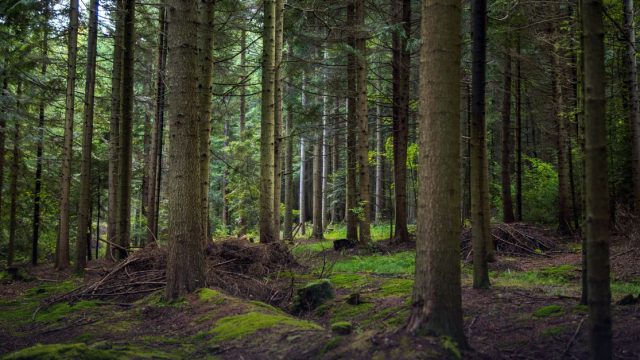 Joint MSc in Geography of Environmental Risks and Human Security