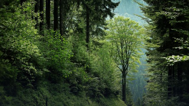 IPCC Workshops Seventh Assessment Cycle – Call for Nominations of Experts