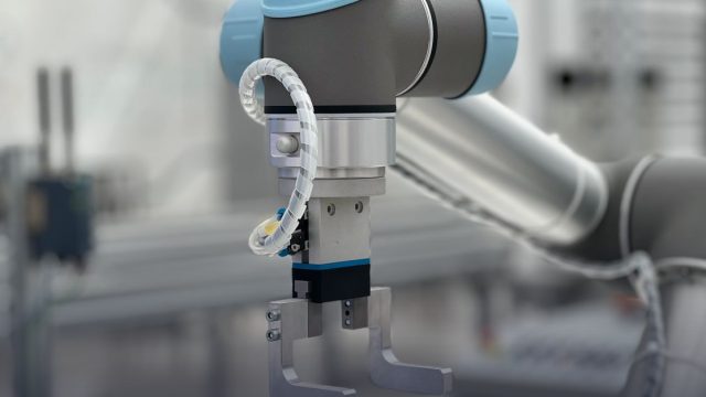 World Robot Olympiad 2025