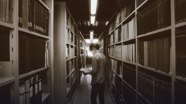 Harvard Radcliffe Fellowship Program 2027-28