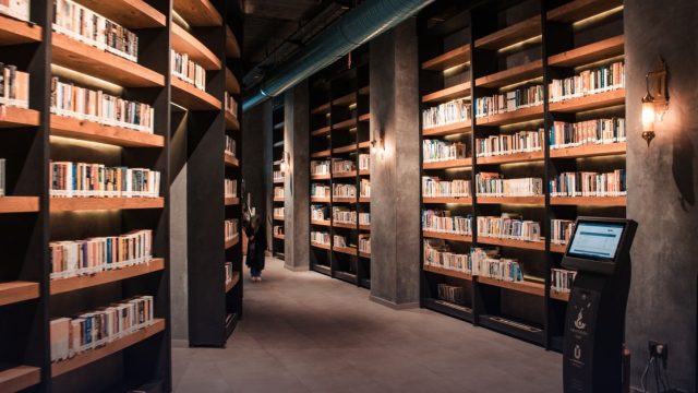 Mellon Fellowship of Scholars in the Humanities 2027–2028