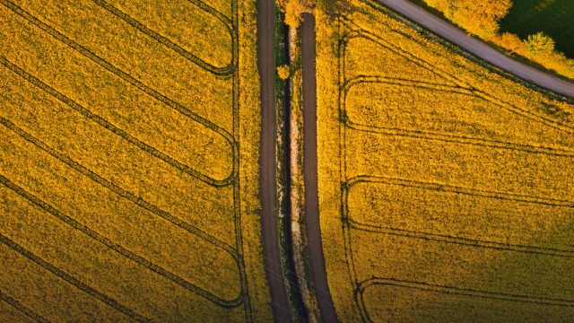 Newport and District Agricultural Society Scholarship