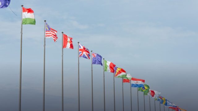 Policy & Monitoring Analyst Programme 2026