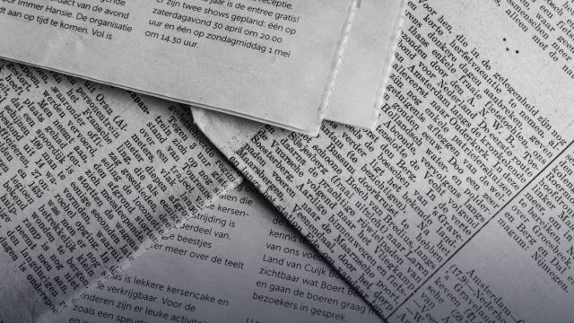 Train-the-Trainer workshop on media literacy (Lead and Co-trainer positions)