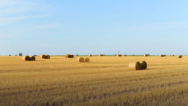Oxford Farming Conference Scholars Programme 2027