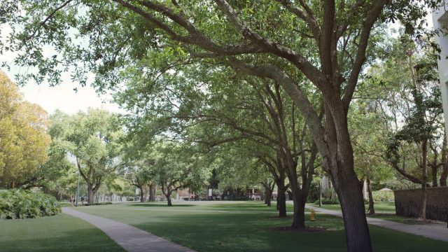 Northwestern Pre-College Online Program