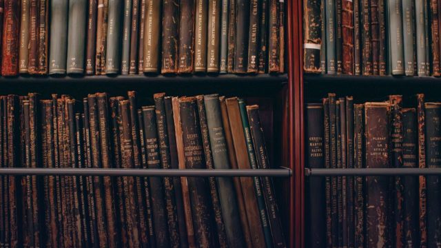 Edith Saurer Research Fellowships 2027