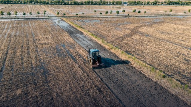 Summer School Biotechnology, Agriculture and Food