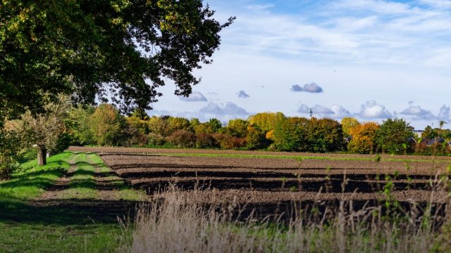 UKUDLA Summer School on Sustainable and Resilient Food Systems and Applied Agricultural and Food Data Science