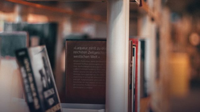 Intensive courses for providers of Lithuanian-language education abroad (2024)