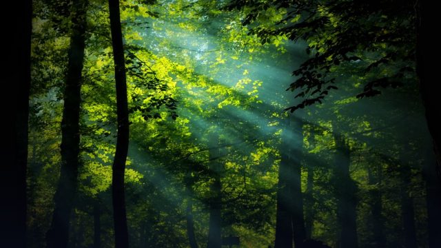 Global Conference on Renewable Energy, Circular Economy & Environmental Policy (GCRECEE)