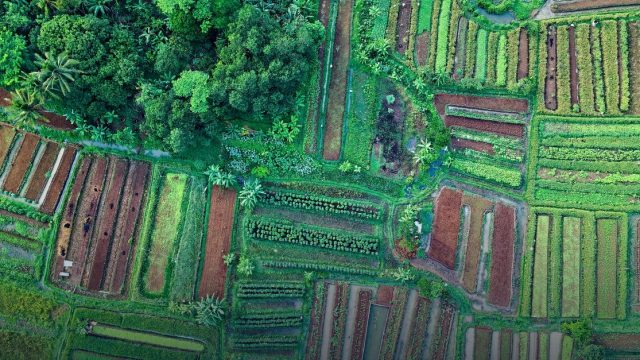 Vylor Agritech Scholarship Program for Postgraduate Students FY 26-27