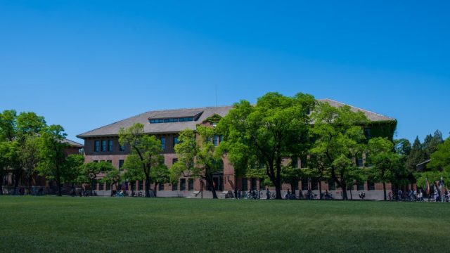 BSC International Summer School