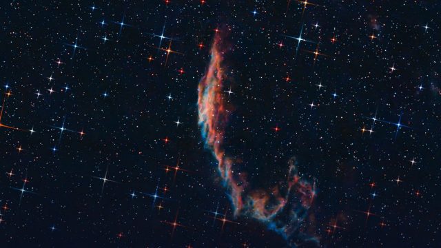 Andromeda Movement Scholarship