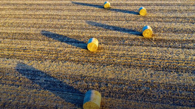 Agriculture Expert Consultant Roster 2026