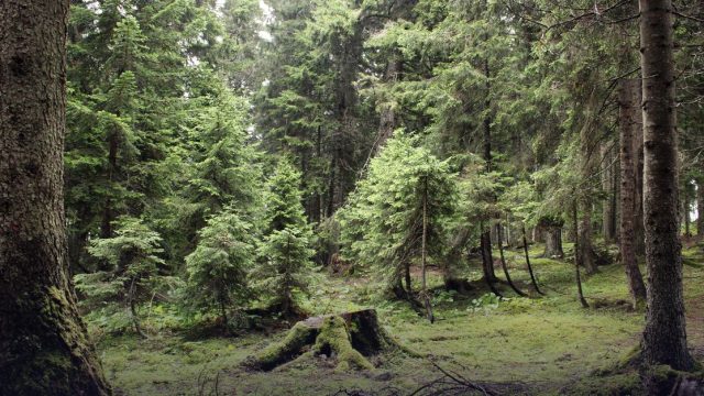 Project Grants Supporting Societal Learning for the Green Transition