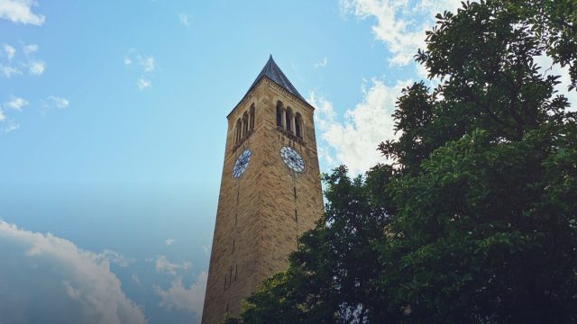 Davis-Bahcall Scholars Program