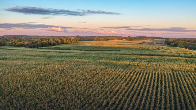 Autumn & Spring School: Ways to Sustainable Agriculture