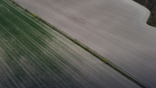 Premi ICEA d'Agricultura