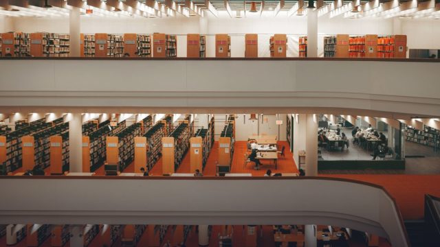 Stipendienprogramm der Daimler und Benz Stiftung