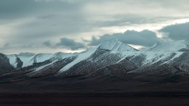 A. B. Edwards Medal